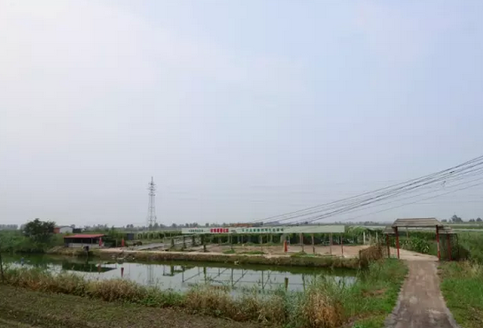造甲城村
