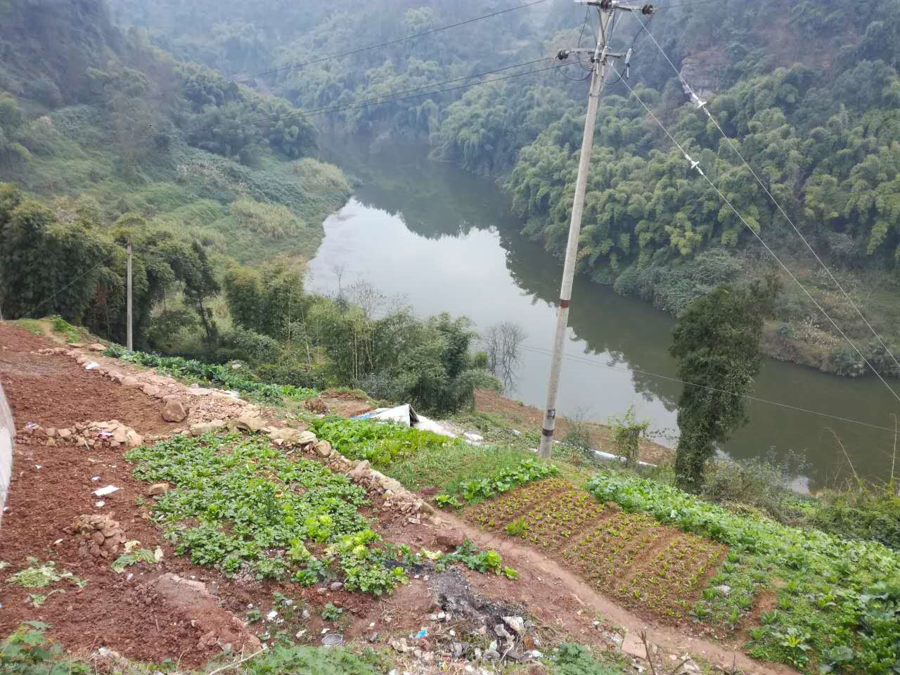 重庆市平滩村_平滩村耕地_平滩村林地_平滩村水域_平