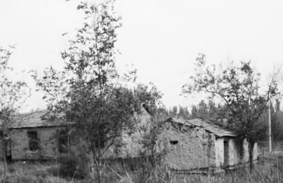 農(nóng)村宅基地
