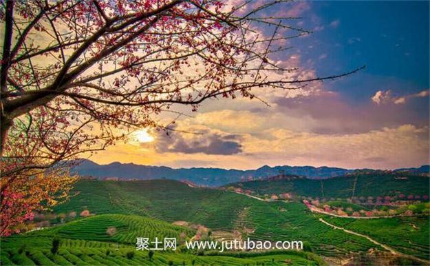 土地流轉(zhuǎn)