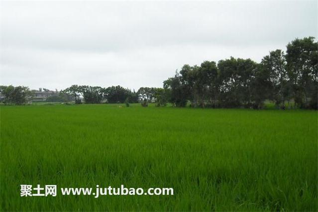 土地流轉(zhuǎn)