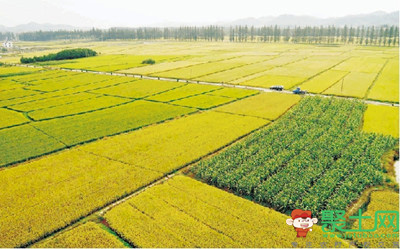 2017年完成昆明全市土地承包經(jīng)營(yíng)權(quán)確權(quán)登記頒證