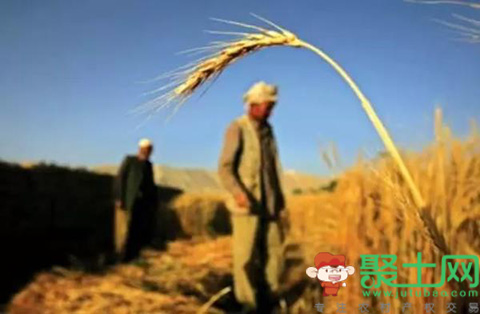 中国2017年完成土改试点 “三块地”赋予农民充分权能