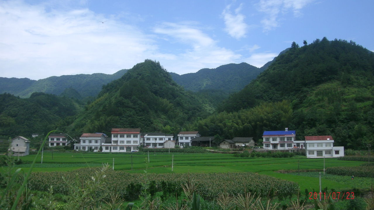 宅基地