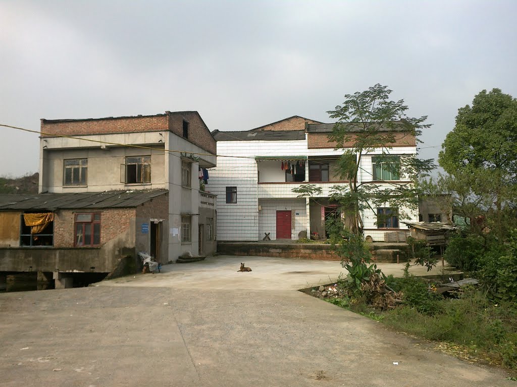 農(nóng)村土地