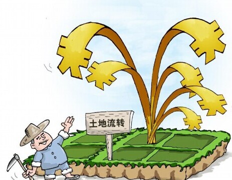 土地流轉(zhuǎn)前景無限，農(nóng)民如何維護(hù)自身權(quán)益