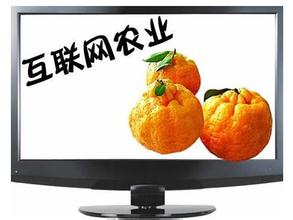 農(nóng)業(yè)電商