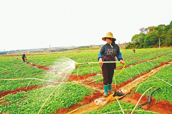 云南被列入全國(guó)10個(gè)土地確權(quán)整省推進(jìn)試點(diǎn)省
