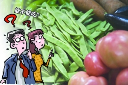 “反季節(jié)蔬菜”科學養(yǎng)殖營銷關鍵在于找準市場需求