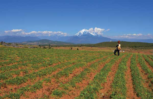 我国应建立适应中国国情的耕地休耕制度