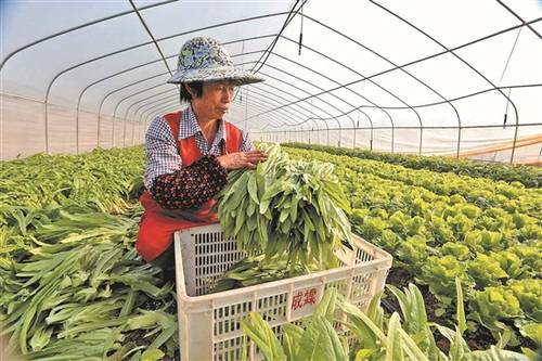 2017年宁德市农村土地承包经营权确权登记
