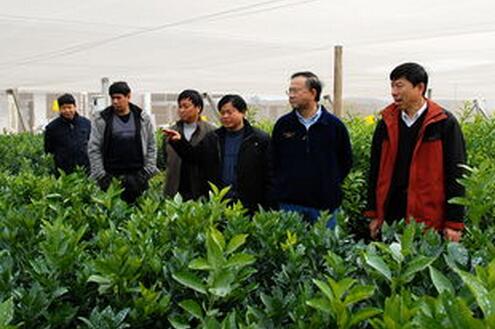 农业部紧急部署强降温和寒潮雨雪天气防范工作