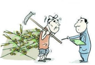 我国已成为全球第二大农业保险市场