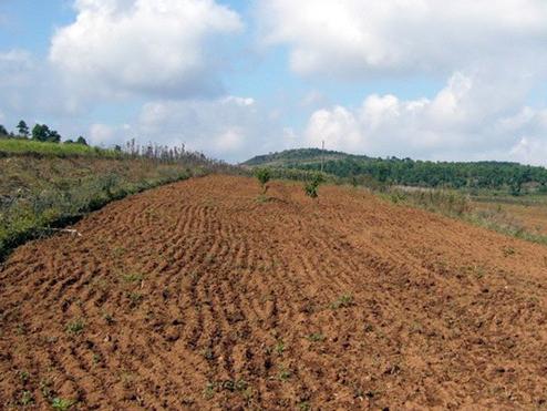 农村土地 农村土地