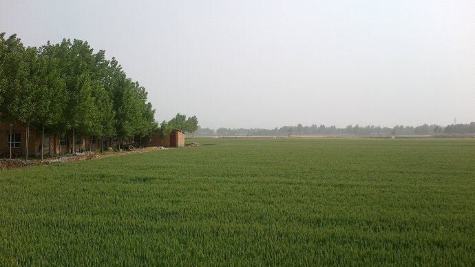 土地流转 土地流转