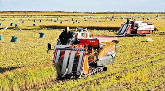 土地流转 土地流转