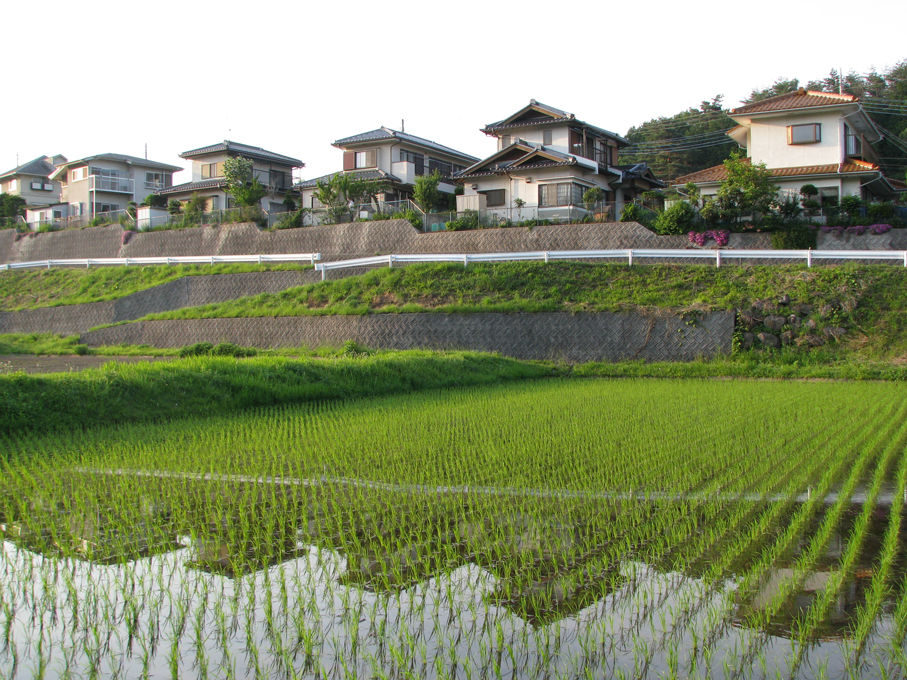 土地流转