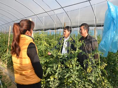 农村电商 农村电商