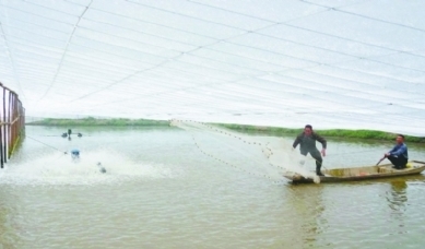 发改委：农村沼气从小工程做成了大产业