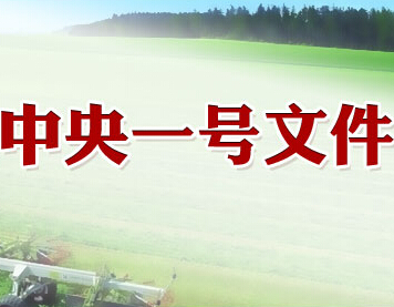 中央一号文件