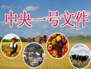 中央一号文件