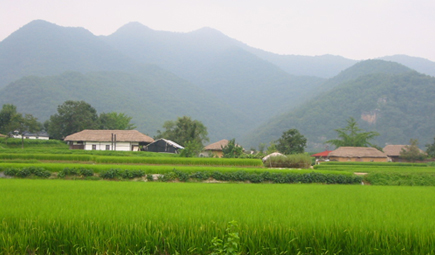 农村土地