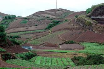 农村经济 农村经济