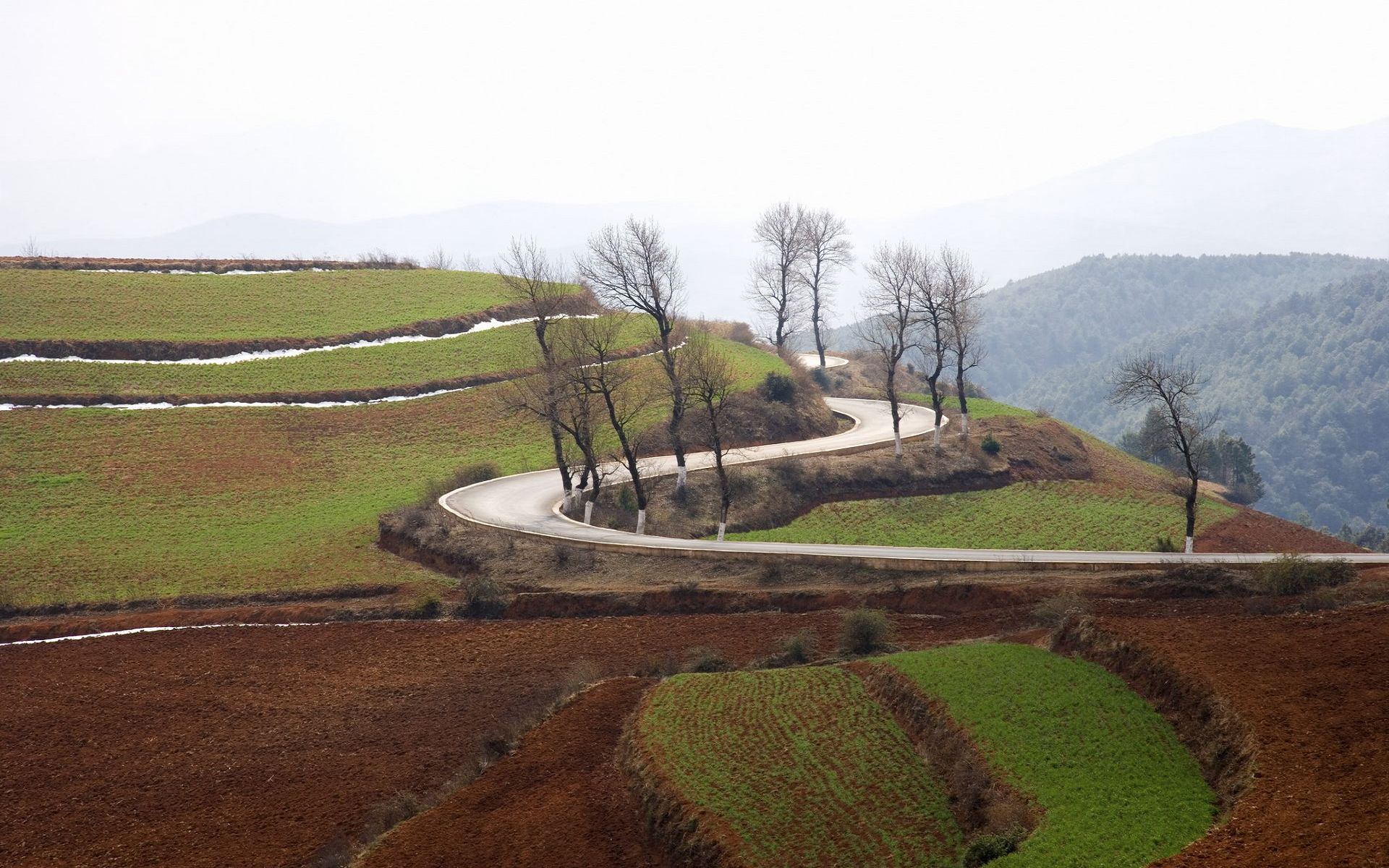 农业发展 农业发展