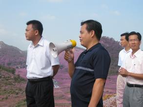 返乡创业
