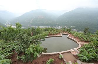 土地流轉(zhuǎn)
