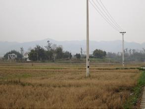 土地市场