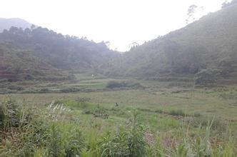 土地市场