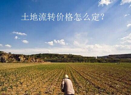 土地流转价格应该怎样定？