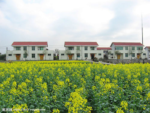 宅基地
