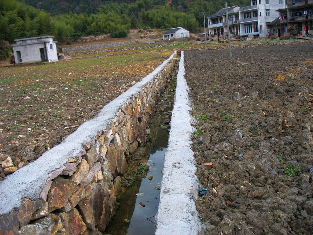 农村土地