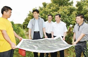 农村人