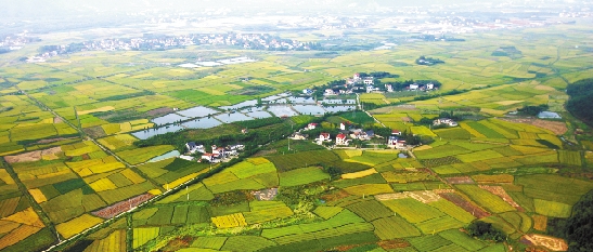 城市土地