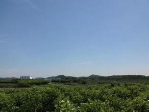 城镇土地