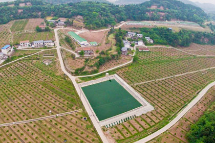 土地市場