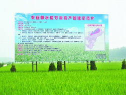 合肥：2016着力打造10个超10亿产值农业产业集群