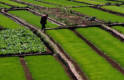 农村“三块地”改革不能被割裂