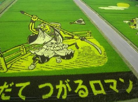 日本现代农业的借鉴之处