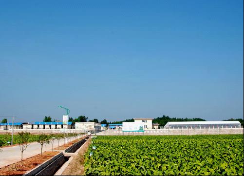 全国42%的农户加入了合作社