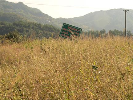 户县一现代农业生态园“撂荒”土地流转如何监管?