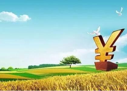 三农资本崩塌 农业金融只有欺骗和谎言吗?