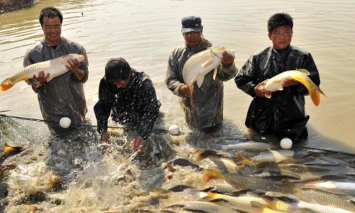2016年農(nóng)業(yè)部漁業(yè)支持政策、補助政策