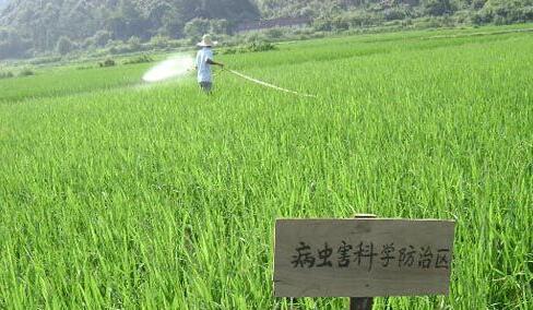 農(nóng)業(yè)部：2016年主要農(nóng)作物病蟲(chóng)發(fā)生重于常年  