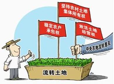 农村土地确权_农村土地出租收入纳税(2)