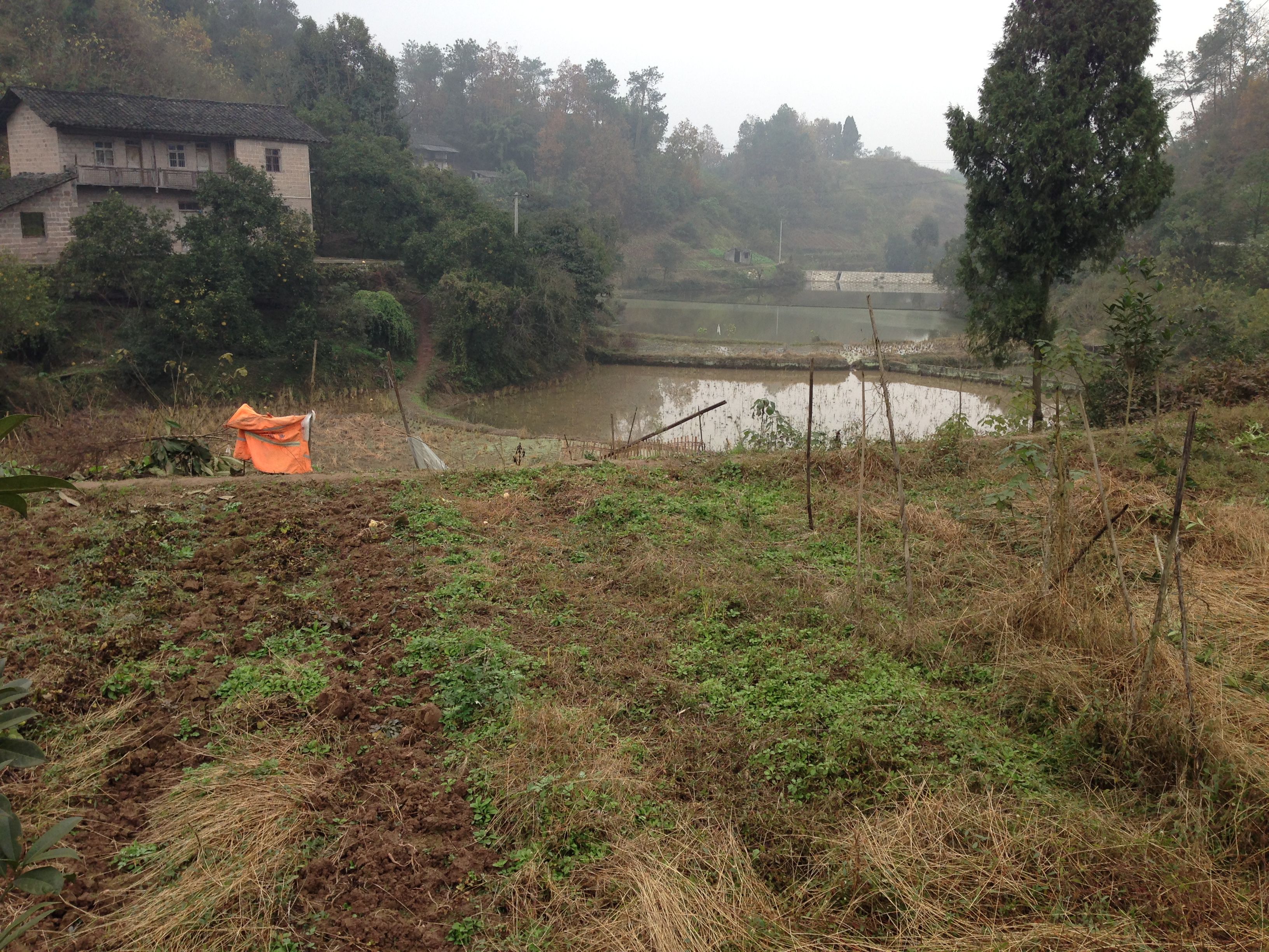 重庆市巴南区跳石镇圣灯山村4000亩水浇地出租