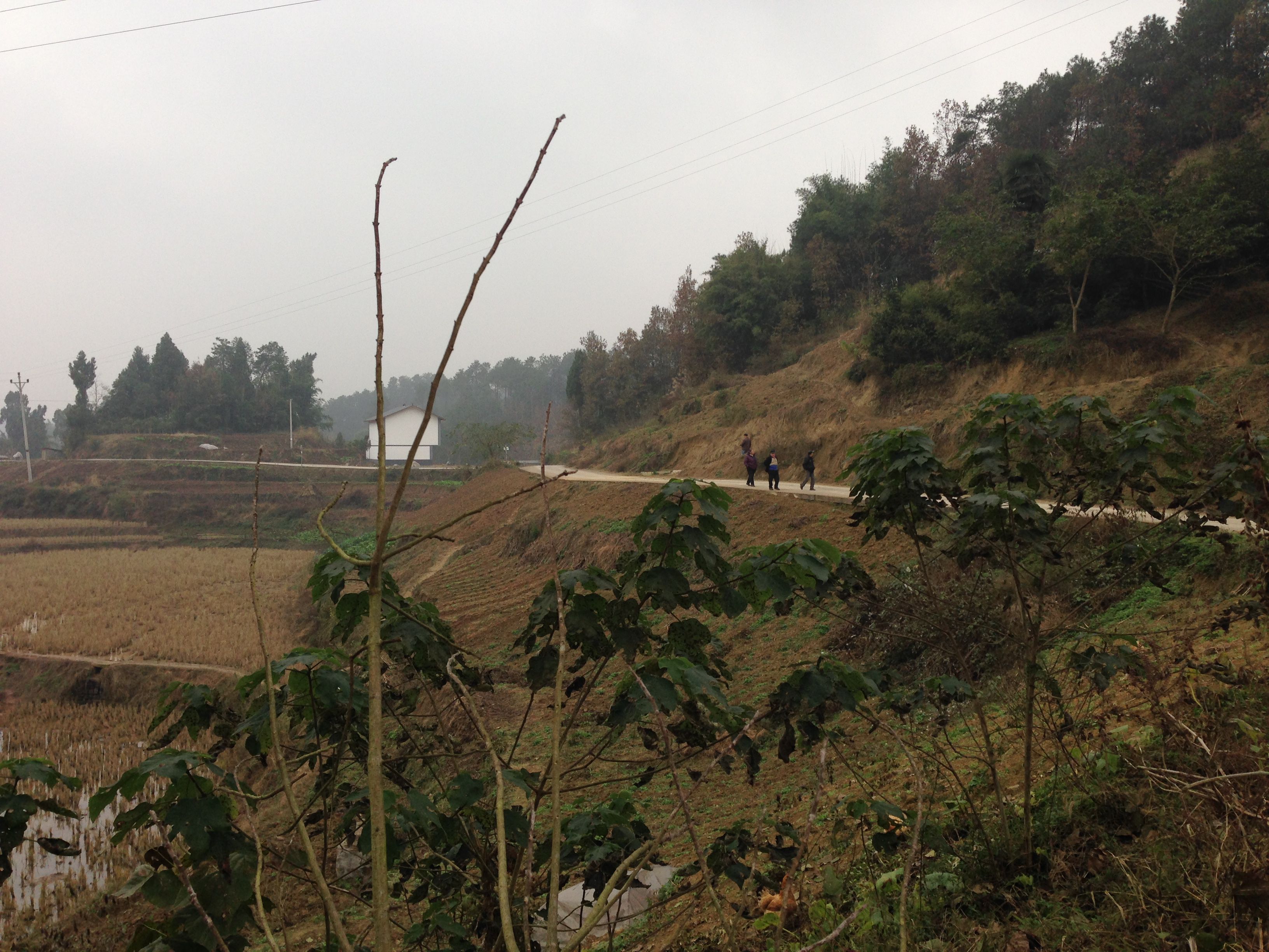 重庆市巴南区跳石镇圣灯山村4000亩水浇地出租